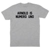 Arnold Is Numero Uno T-Shirt (Inspired by Pumping Iron) - Heather Gray