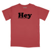 Hey Been Trying to Meet You Relaxed T-Shirt (Inspired by The Pixies) - BRICK