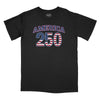 America 250 Vintage Relaxed T-Shirt - BLACK