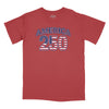 America 250 Vintage Relaxed T-Shirt - BRICK