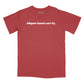 Alligator Lizards Can't Fly Relaxed Fit T-Shirt (Inspired by America)