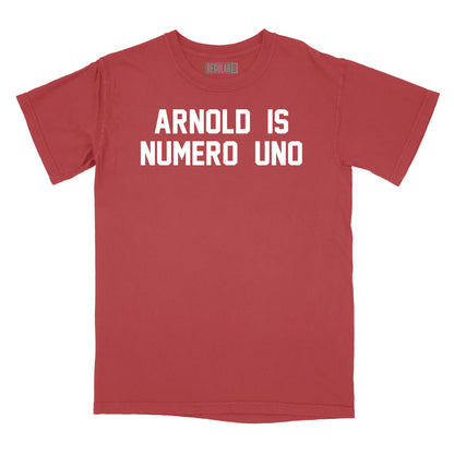 Arnold Is Numero Uno T-Shirt Relaxed Fit T-Shirt (Inspired by Pumping Iron)