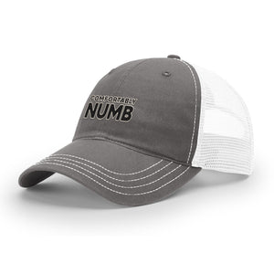 Comfortably Numb - Choose Your Style Hat