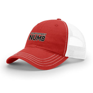 Comfortably Numb - Soft Mesh Trucker