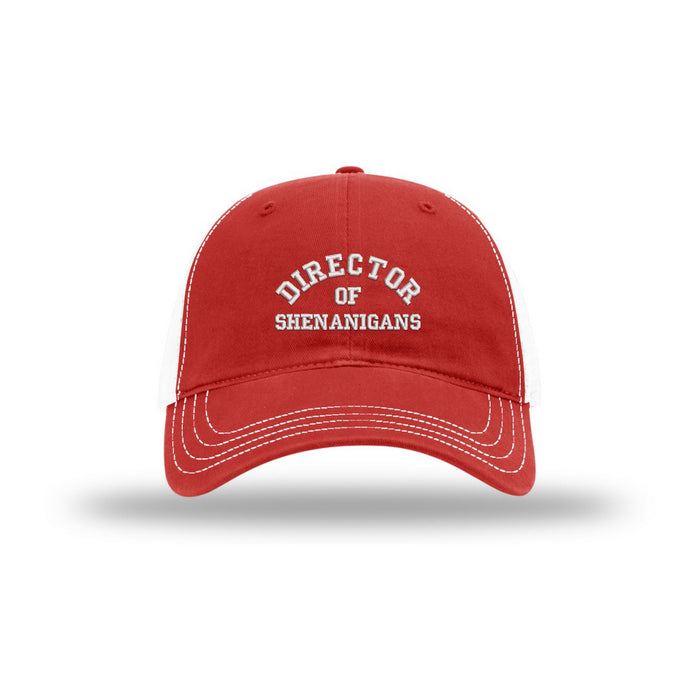 Director of Shenanigans - Choose Your Style Hat