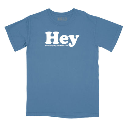 Hey Been Trying to Meet You Relaxed T-Shirt (Inspired by The Pixies)
