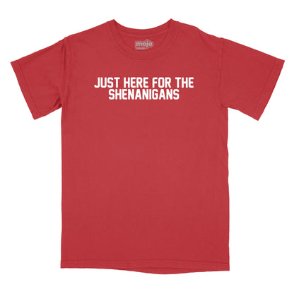 Just Here for the Shenanigans Relaxed T-Shirt