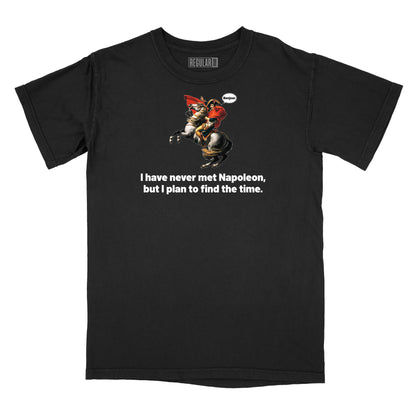 I Have Never Met Napoleon Relaxed Fit T-Shirt (Inspired by Steely Dan)