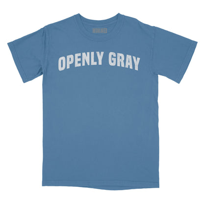 Openly Grey Vintage Arch Relaxed Fit T-Shirt