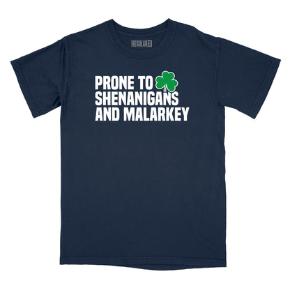 Prone to Shenanigans & Malarkey Relaxed T-Shirt