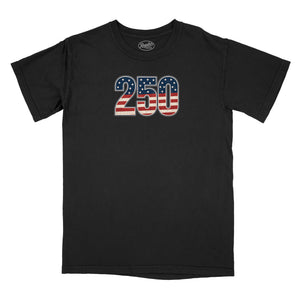 250 Old Glory Relaxed T-Shirt