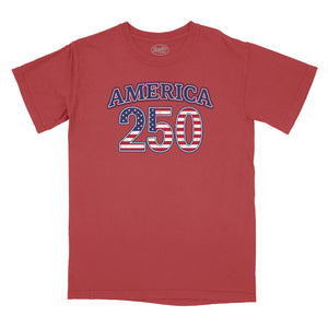 America 250 Vintage Relaxed T-Shirt