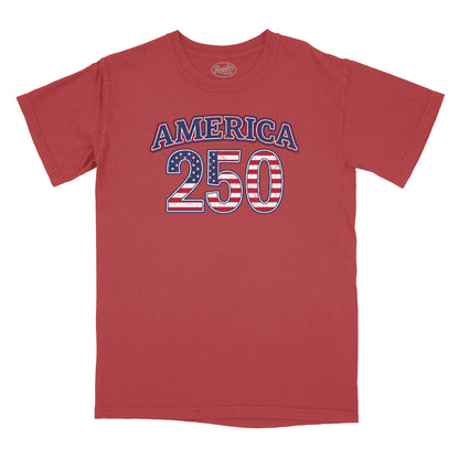 America 250 Vintage Relaxed T-Shirt